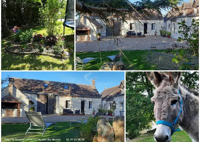 Charmant Gite Rural Avec Jardin, Proche Amboise Et Blois, Ideal Pour Familles, Randonneurs Et Amoureux De Nature - Fr-1-381-145