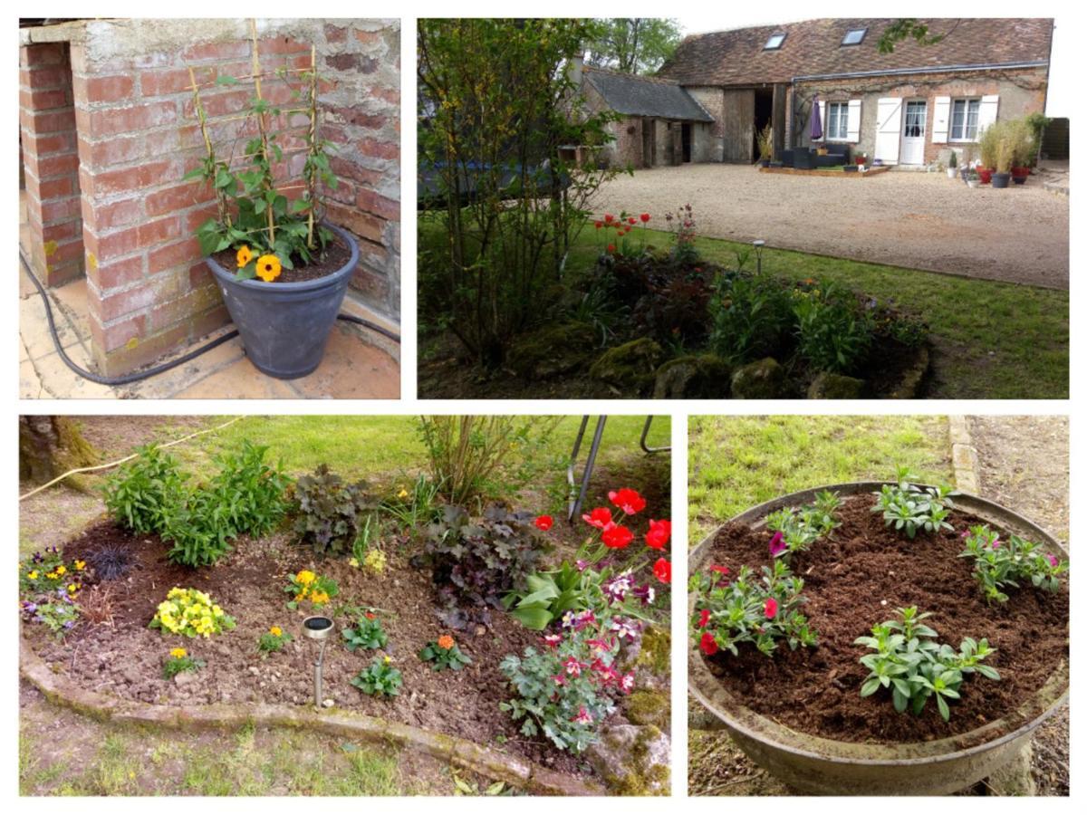 Rural Avec Jardin, Proche Amboise Et Blois, Ideal Pour Familles, Randonneurs Et Amoureux De Nature - Fr-1-381-145 Holiday home *