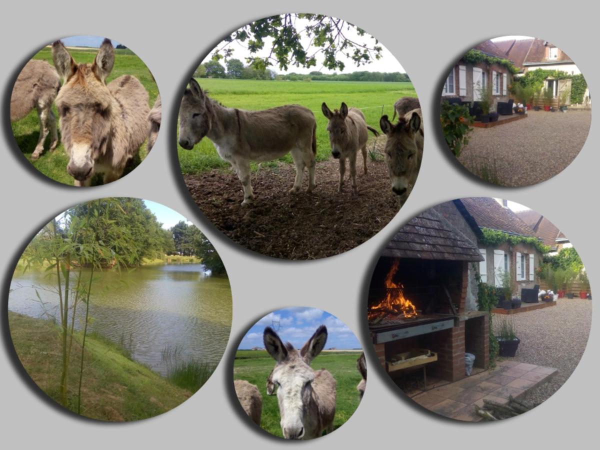 Rural Avec Jardin, Proche Amboise Et Blois, Ideal Pour Familles, Randonneurs Et Amoureux De Nature - Fr-1-381-145 Saint-Nicolas-des-Motets