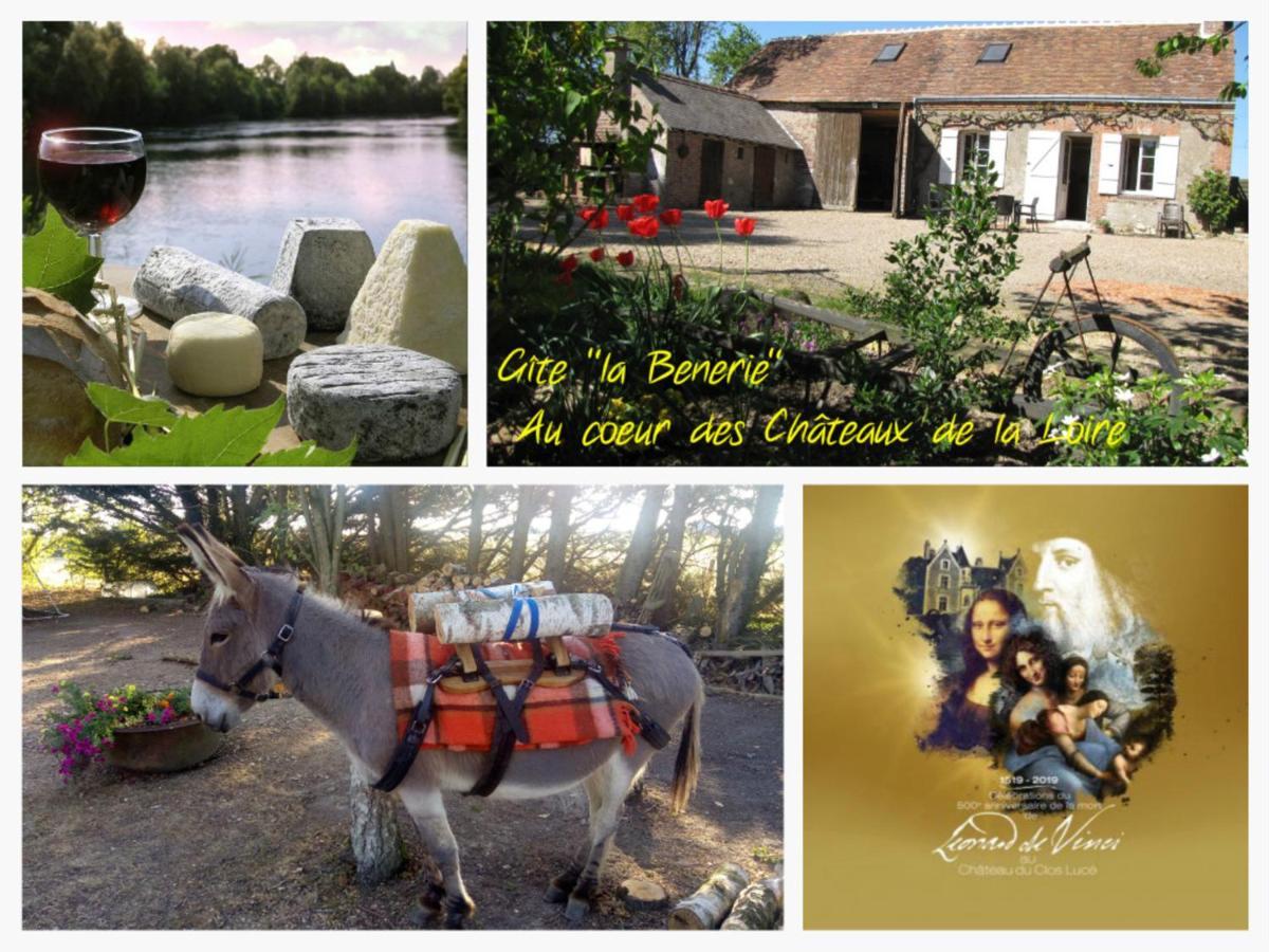 Holiday home Rural Avec Jardin, Proche Amboise Et Blois, Ideal Pour Familles, Randonneurs Et Amoureux De Nature - Fr-1-381-145
