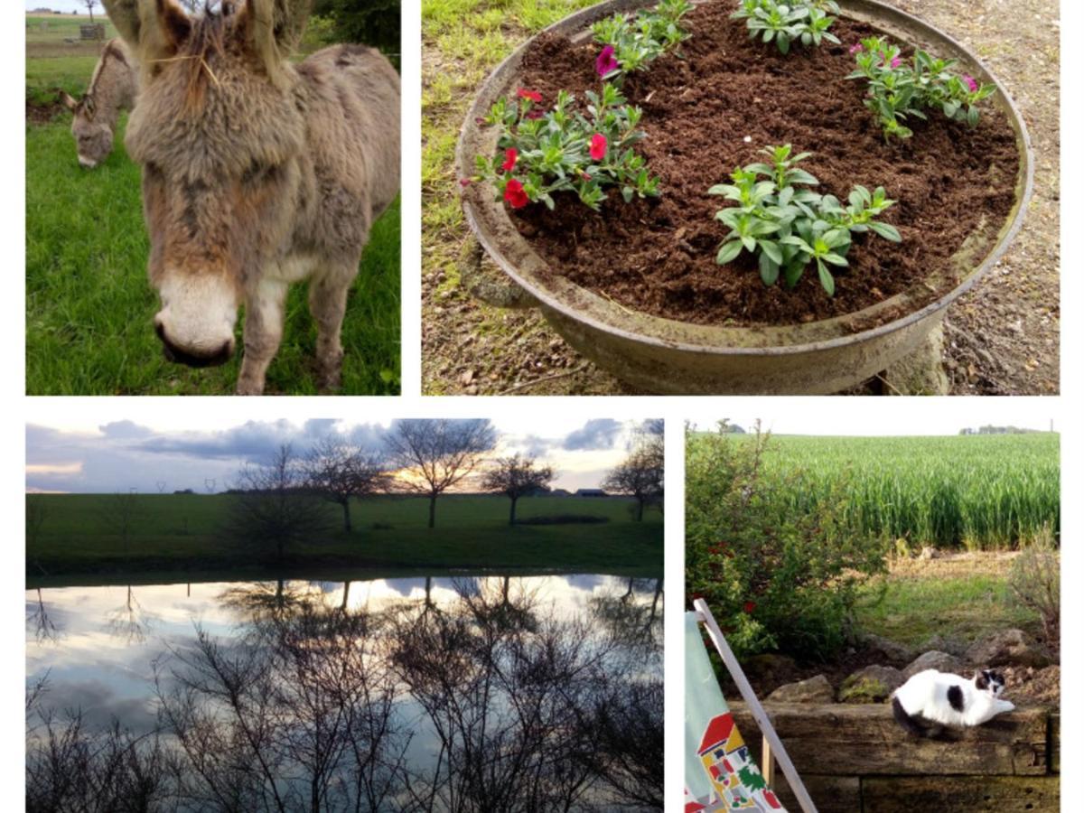Rural Avec Jardin, Proche Amboise Et Blois, Ideal Pour Familles, Randonneurs Et Amoureux De Nature - Fr-1-381-145 Holiday home
