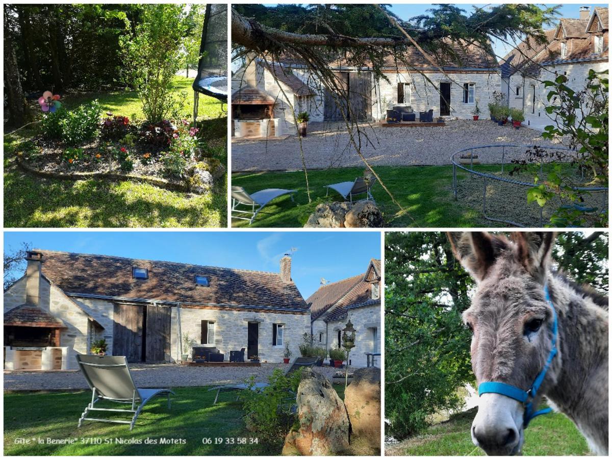 Rural Avec Jardin, Proche Amboise Et Blois, Ideal Pour Familles, Randonneurs Et Amoureux De Nature - Fr-1-381-145 Holiday home